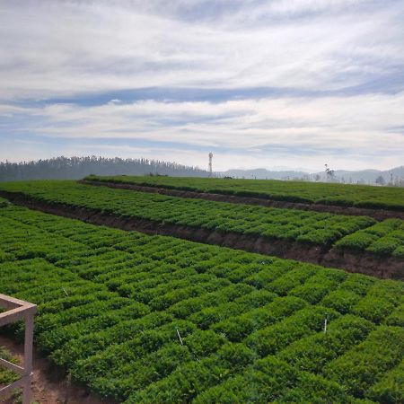 Brown Tree Resorts Ooty Bagian luar foto