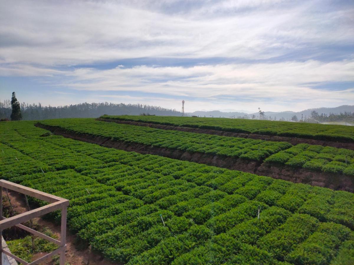 Brown Tree Resorts Ooty Bagian luar foto